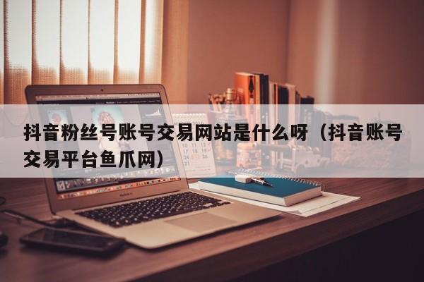 抖音粉丝号账号交易网站是什么呀（抖音账号交易平台鱼爪网）